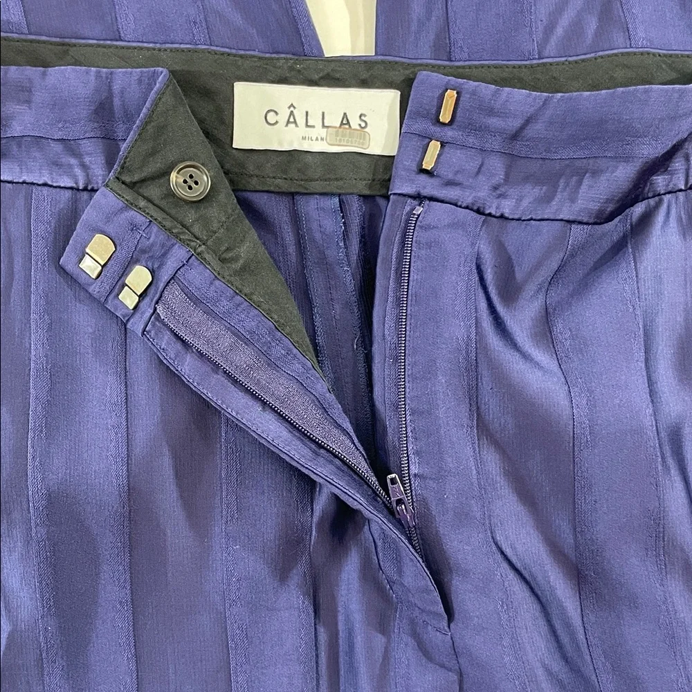 CÂLLAS Sydney Trouser (IT 44/US 8) - Picture 6 of 12
